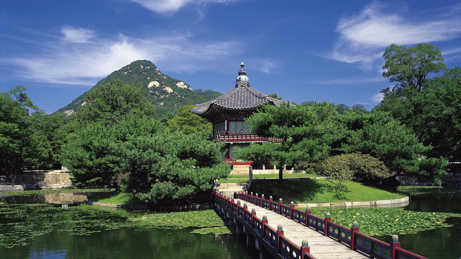 世界登山青年导师交流成果汇编发布，国际登山比赛