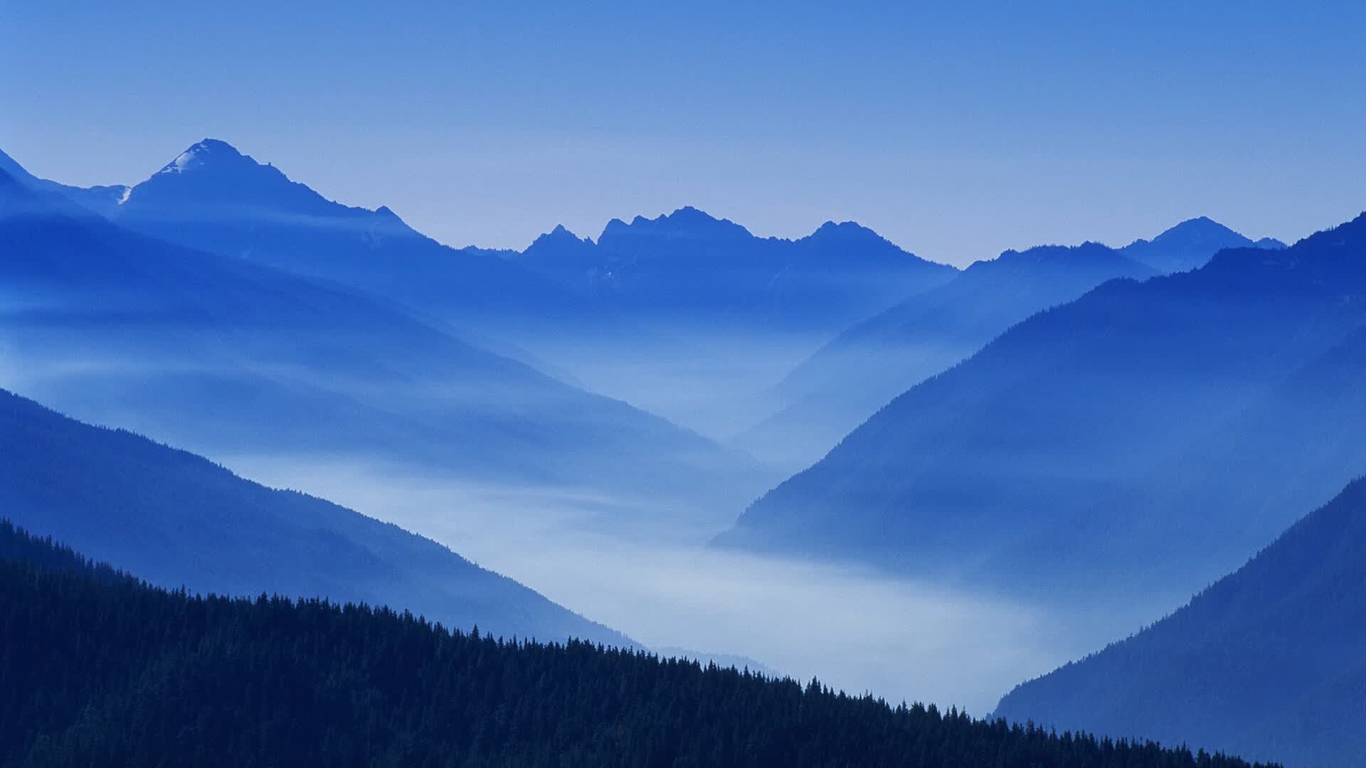 世界登山青年导师长期追踪研究第71期数据摘要发布，世界登山运动员排名